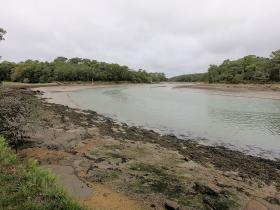 87-GOPR3948