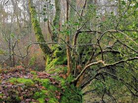 MG_20201220_103830